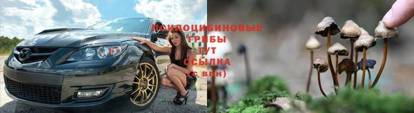 прущие крисы Алексин